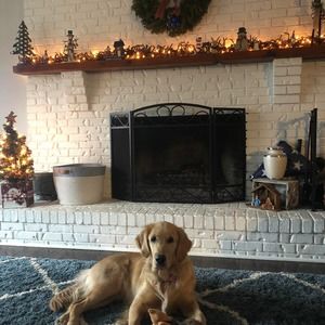 Meet your Posher, Jen